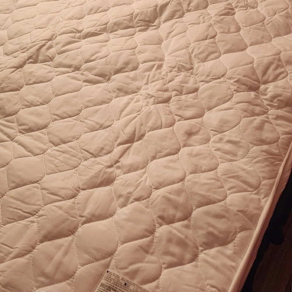 Biddeford Electric Mattress Pad